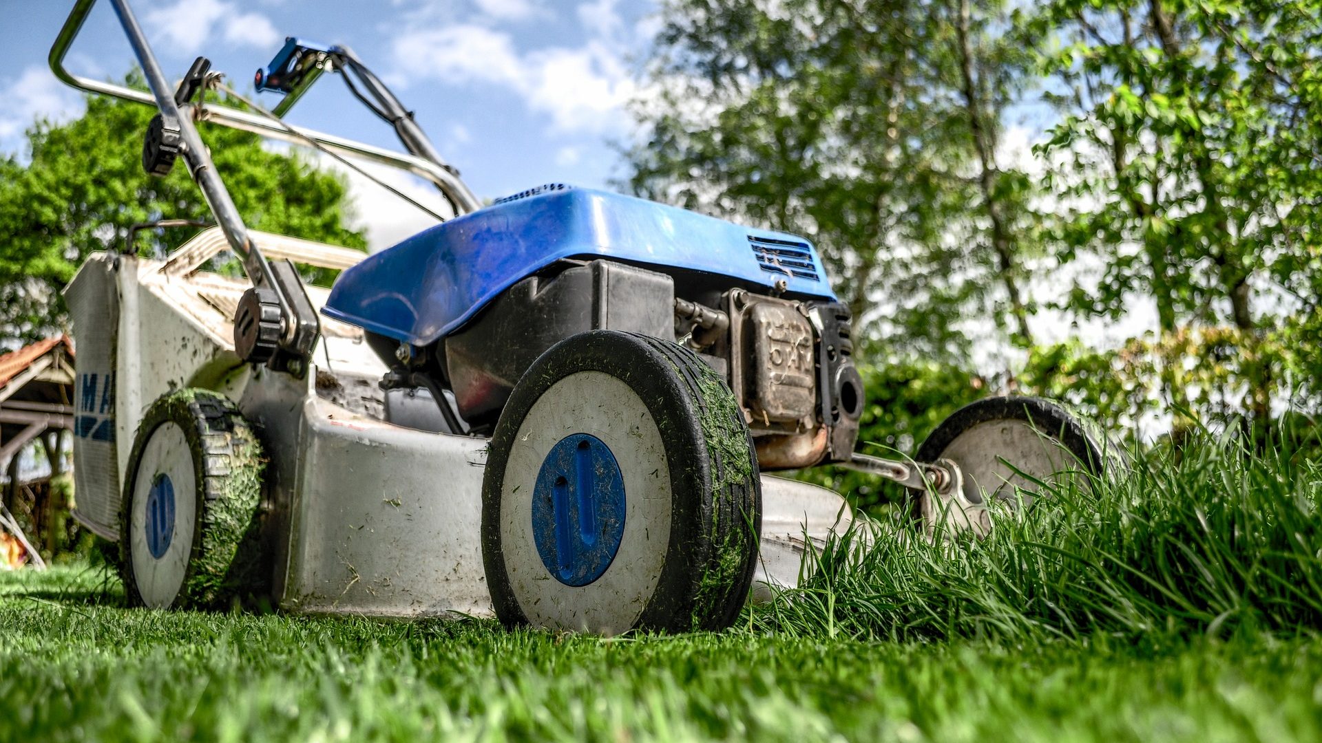 Prepping Your Lawn for the Spring