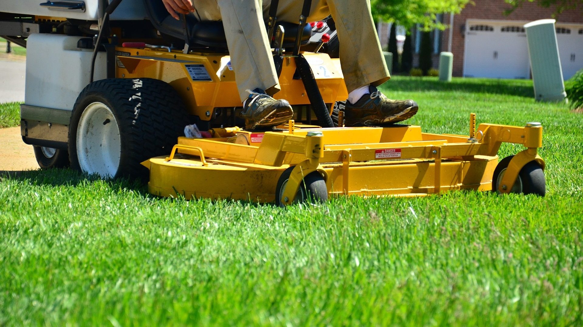 What to Look for When Hiring a Landscaper in Northeast Florida
