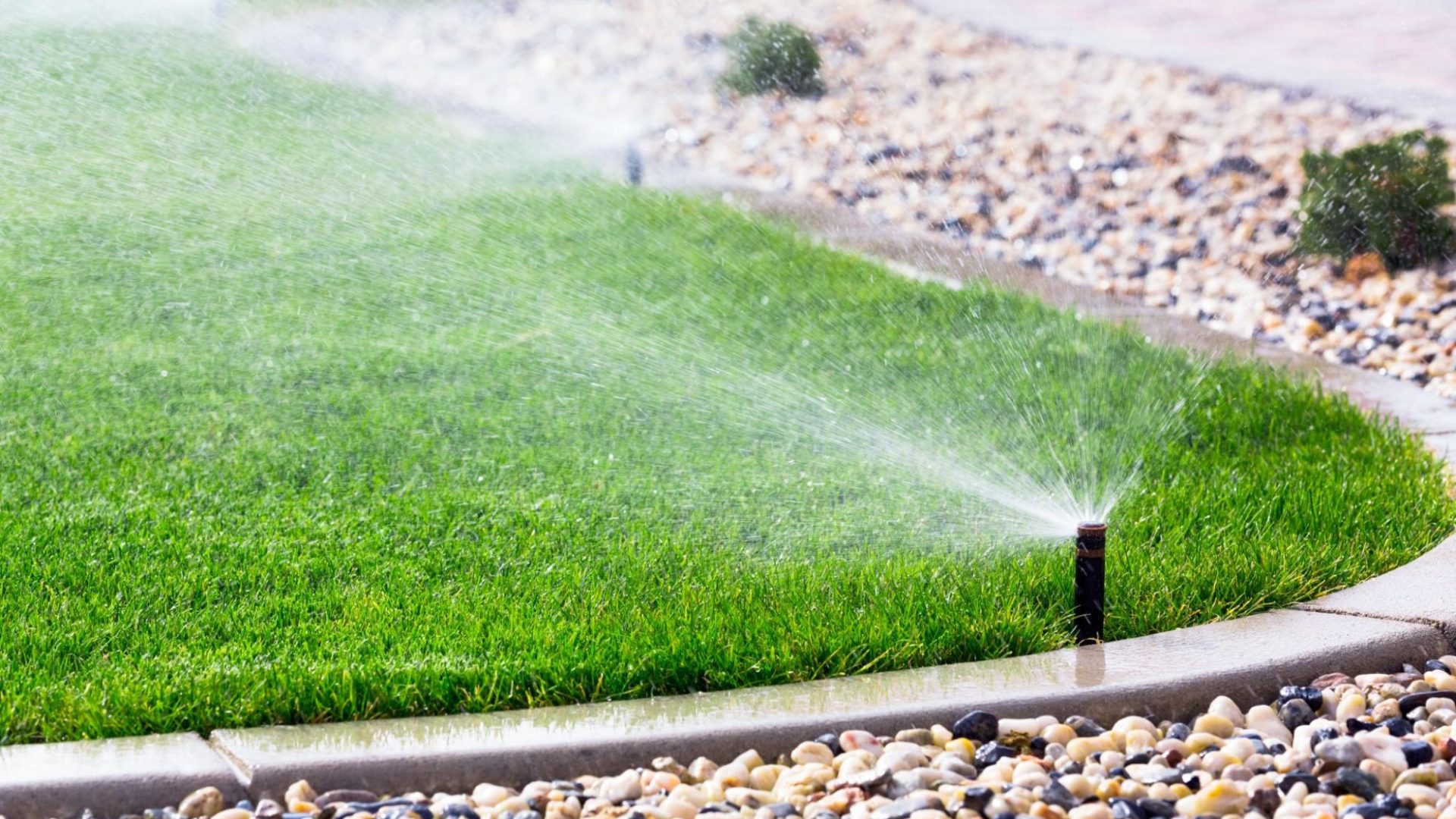 When and How Often Should I Water My Grass? 