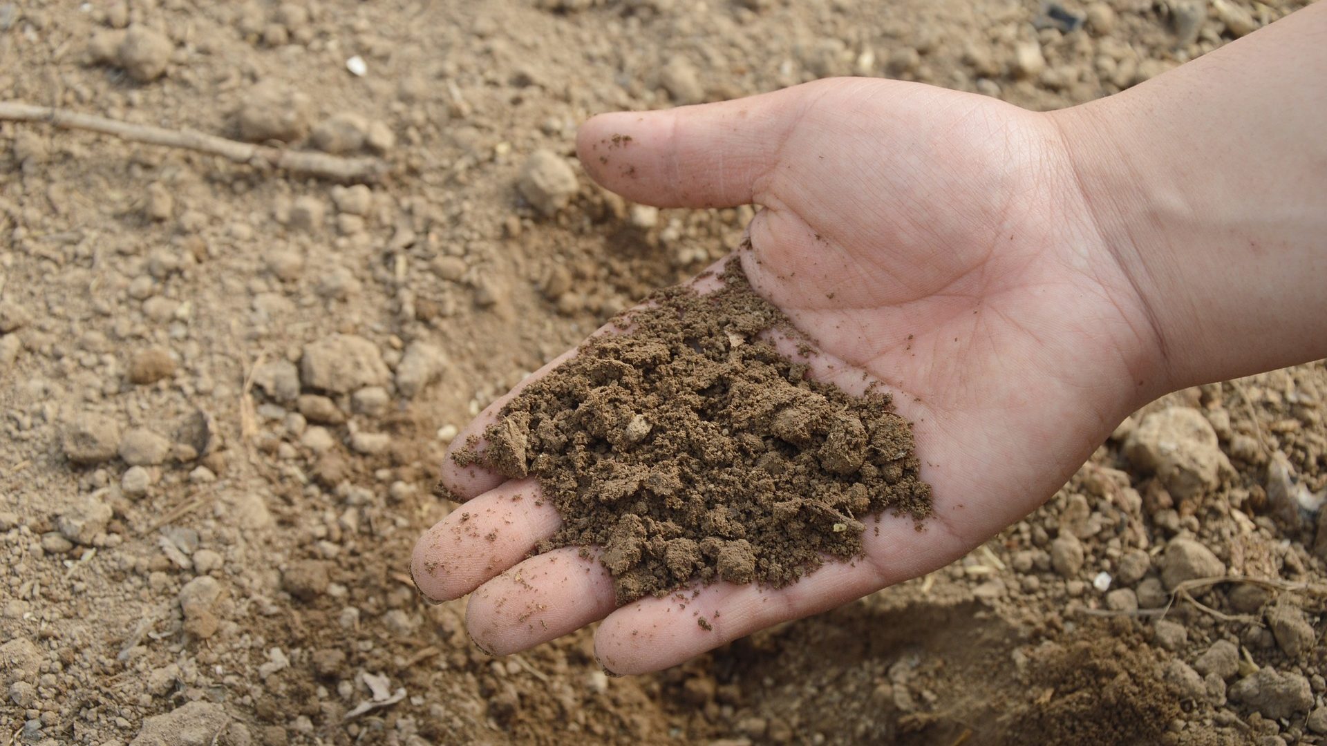 Fertilizer 101