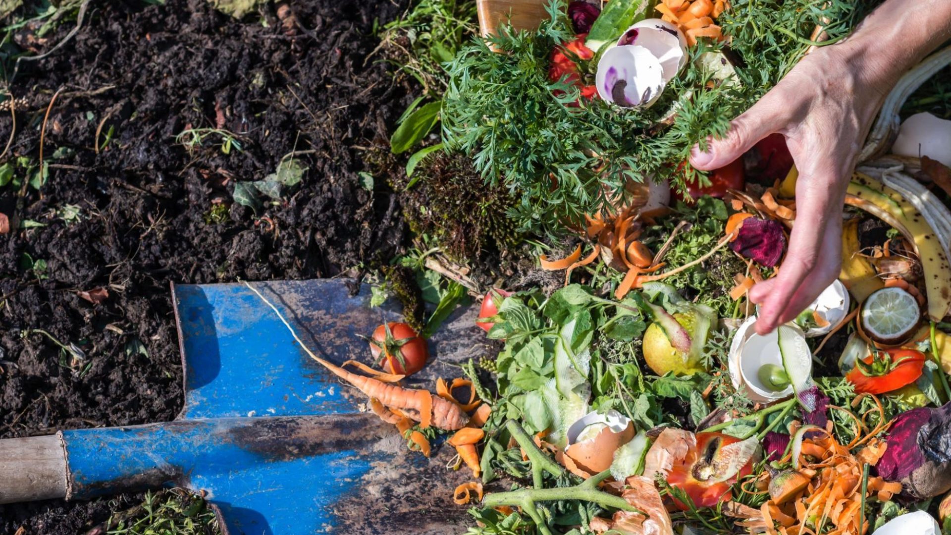 Composting 101