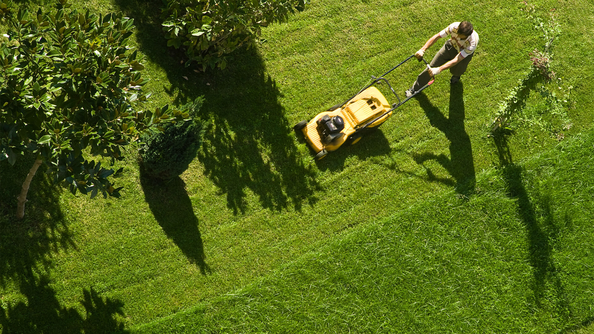 What Should I Do To Keep My Lawn Healthy Throughout The Year?
