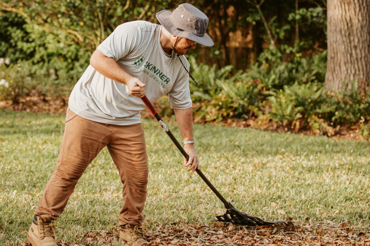 Skinner Lawn – Debris removal Skinner Lawn - Debris removal
